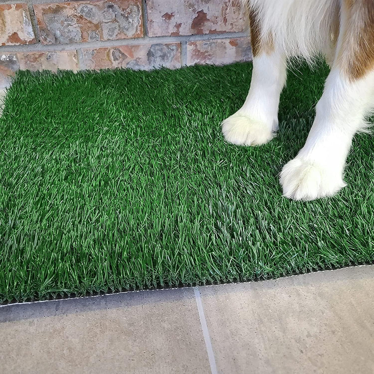 Dog Toilet Tray W/Dog Grass Pee Pad Artificial Grass Puppy Toilet Training