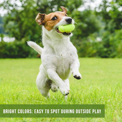 Pack of 6 Tennis Balls, Sport Play Dog Toy Ball Sturdy & Durable, Great for Play
